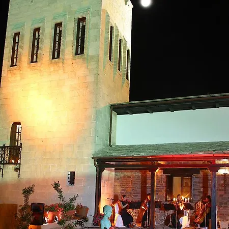 Hotel Porto Carras Galini 5*
